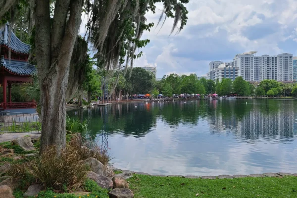 Tree service in Orlando Fl